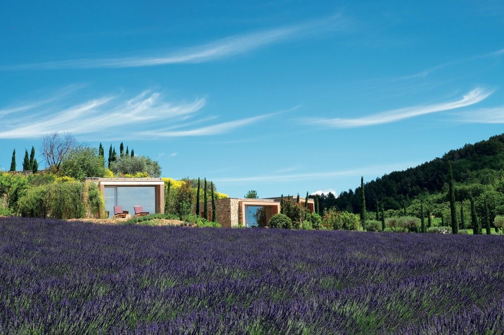 Domaine Des Andeols Hotel Saint-Saturnin-d'Apt Kültér fotó